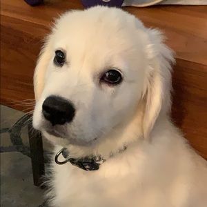 Meet your Posher, Raquel